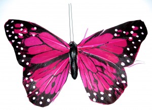 pink-butterflies-1014388